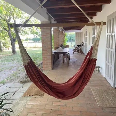 Chez Sari Nyaraló *